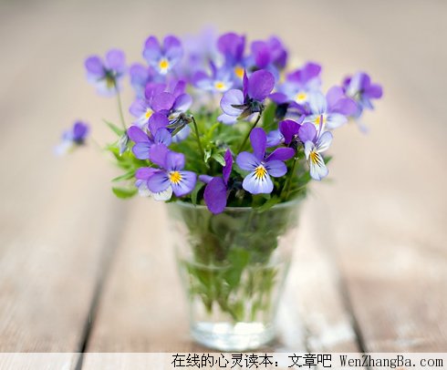 小细节显大爱