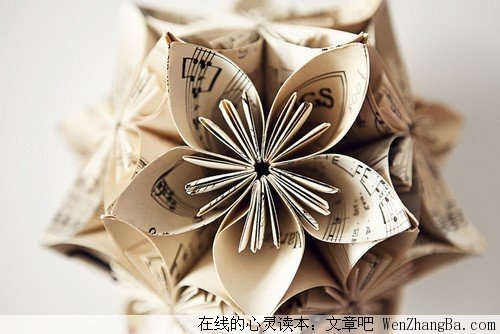 无言的爱，感我心脾
