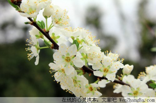 快乐，从未放弃你