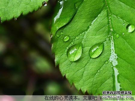 触动心灵的瞬间