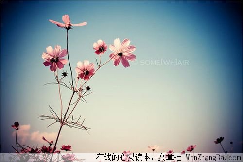 爱是雨中的一把伞