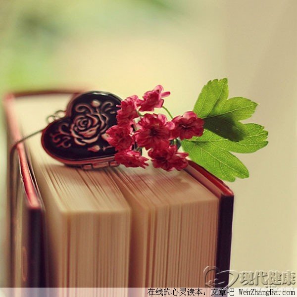 爱的温度