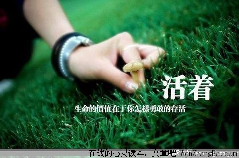 有梦想，永远不会晚