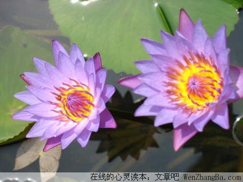 磨难是人生的财富