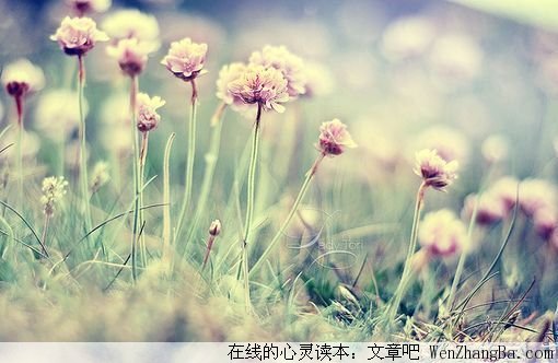 谁会为谁停留