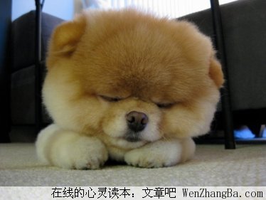 求施舍的爱