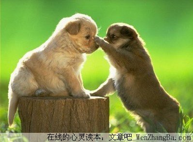 爱情能经得起平淡