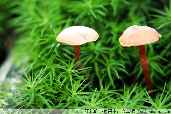 你怎样看待爱