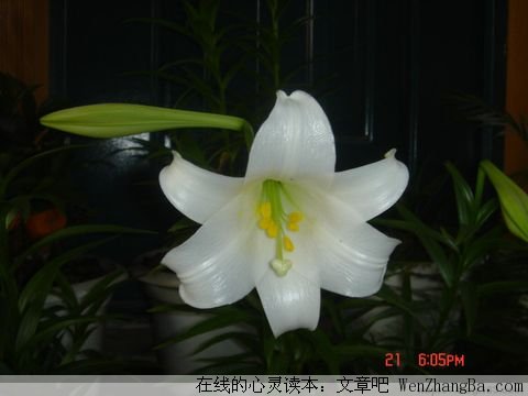 人生当自强
