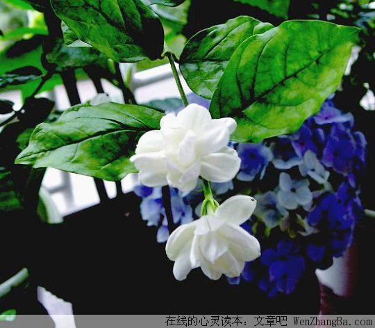 只求进步一点点