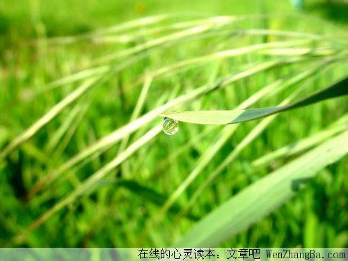 短短的语录，却诠释了此时的心情
