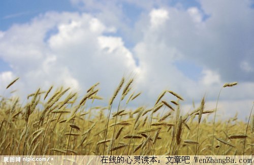 成熟不是心变老
