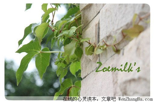学会取舍