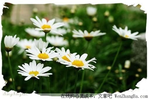 震撼人心的瞬间