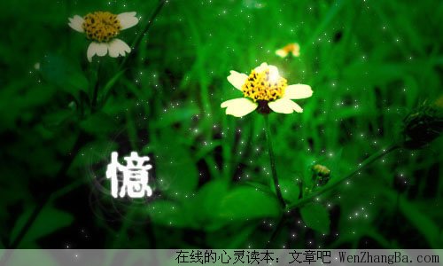 永不遗忘的爱