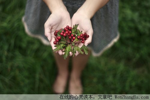 那年记忆的小北