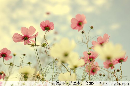 三毛与荷西的爱情经典