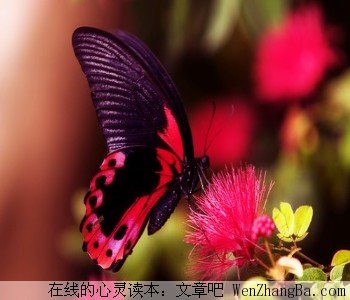 温暖的便条