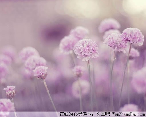 幸福的十件事