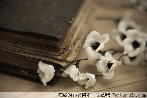 相忘于江湖