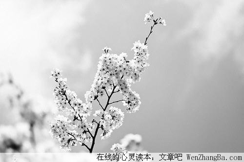 亲爱的爸爸