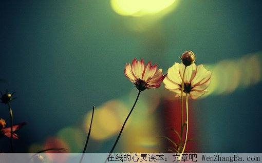 时间不等人