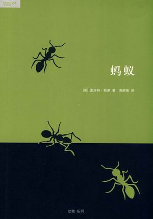 蚂蚁的真实世界