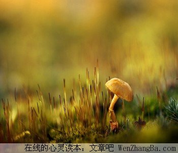 沉痛的父爱情怀