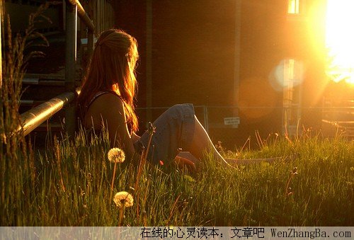 我用生命来爱你