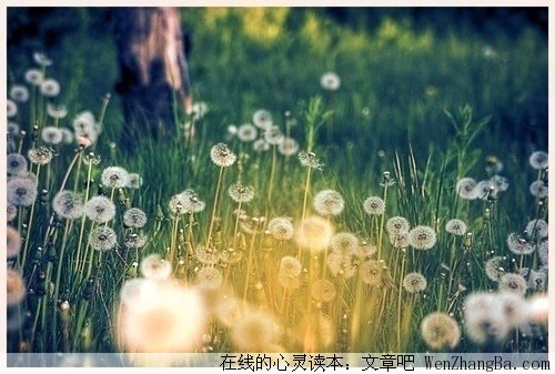 一路美丽