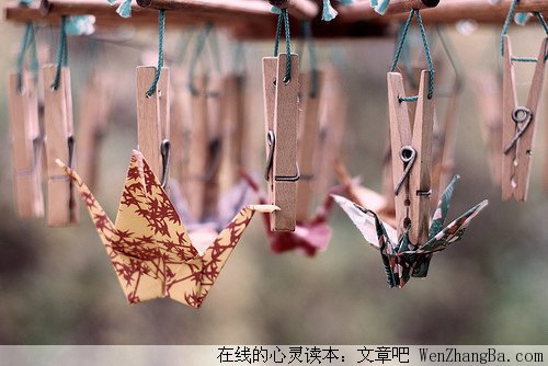 有钱之后