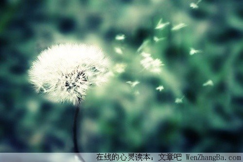 学会知足