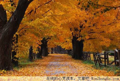 平淡人生真滋味