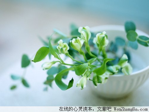 有没有一句话，写出了你现在的心情