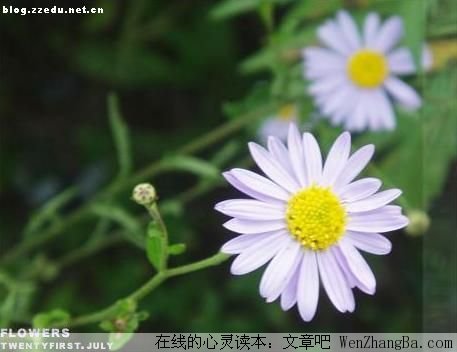 在对比中感受幸福