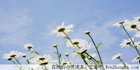 淡看人生