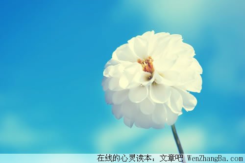 走不出阴影的时候，读读这些话，会让你阳光起来！