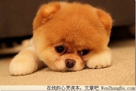人生要禁受得起委屈