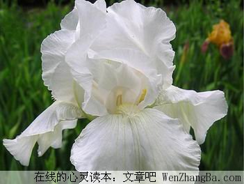 人的本性