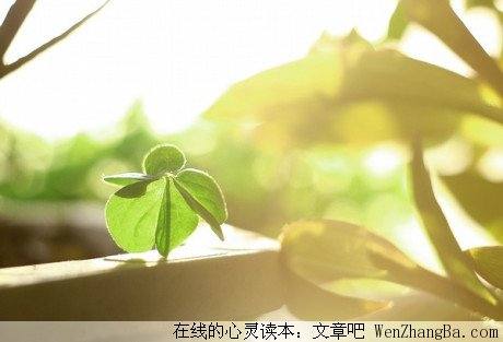 拥有的就是幸福