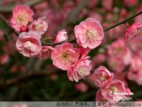 怎样去爱一个人