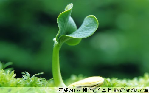 希望就在前方