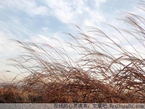 不白活一回