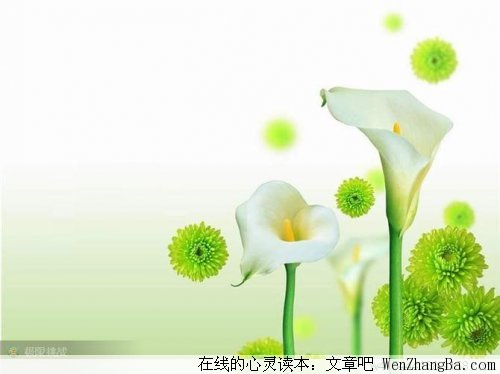 经典男性心理解读