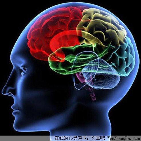 实现梦想需要这些