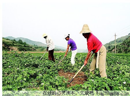 儿子需要钱买资料