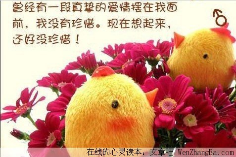 永恒的爱情