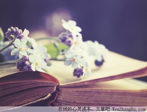 读的是书，品的是人生