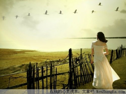 为何受伤的总是女人
