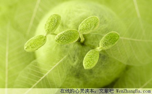 会有希望等着你